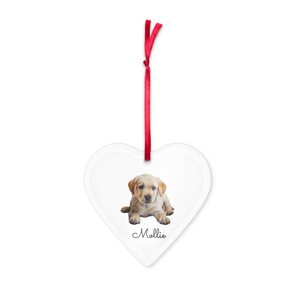 Acrylic ornament (custom photo and text) P0000001